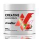 IronFlex Creatine Monohydrate, 300 грамм - Клубника CN2240-29 фото 1