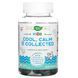 Nature's Way Kids Cool, Calm & Collected, 40 желейок CN16261 фото 1