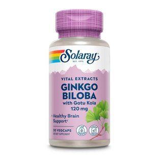 Ginkgo Biloba Extract One 120mg - 30 vcaps 2023-10-6737 фото