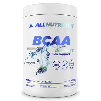 BCAA Max Support Instant - 500g Bllueberry (До 10.26) 2024-11-0179 фото