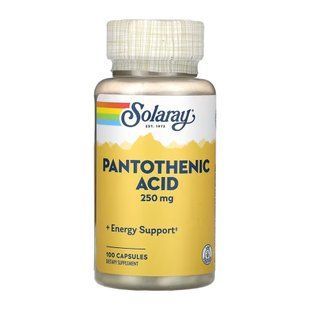 Pantothenic Acid 250mg - 100 caps 2023-10-6744 фото