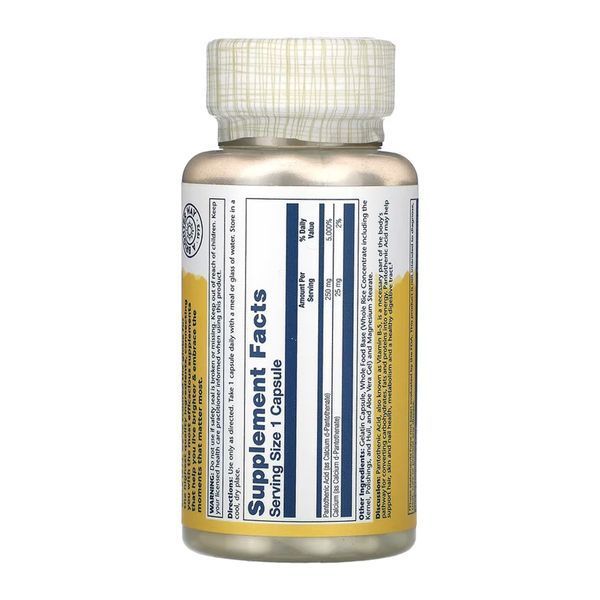 Pantothenic Acid 250mg - 100 caps 2023-10-6744 фото