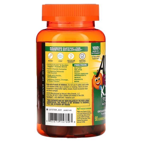 Nature's Way Alive! Multi-Vitamin for Children, 90 желейок CN7426 фото