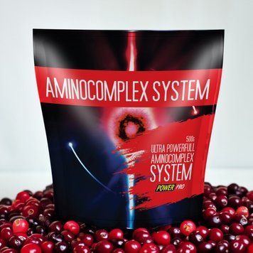 Power Pro Aminocomplex System, 500 грамм - Клюква CN68 фото