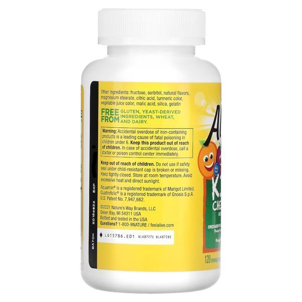 Nature's Way Alive! Kids Chewable Multivitamin, 120 жувальних таблеток - Апельсин-ягоди CN12291-1 фото