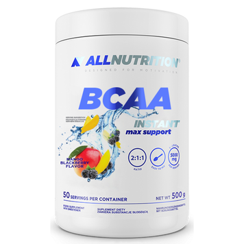 BCAA Max Support Instant - 500g Mango Blackberry (До 10.26) 2024-11-0206 фото