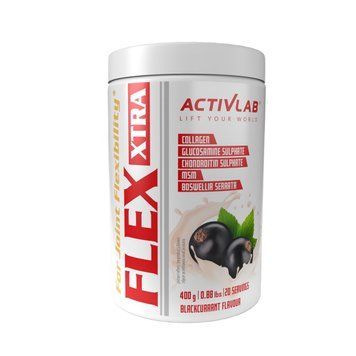 ActivLab Flex Xtra, 400 грамм - Черная смородина CN11228-2 фото