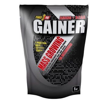 Power Pro Gainer, 1 кг - Ягоды CN78-4 фото