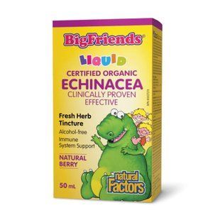 BigFriends Echinacea Alcohol-Free Fresh Herb Tincture for Kids - 50 ml 2023-10-6564 фото
