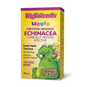 BigFriends Echinacea Alcohol-Free Fresh Herb Tincture for Kids - 50 ml 2023-10-6564 фото