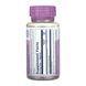 Bilberry Berry Extract 60mg - 60 vcaps 2023-10-7016 фото 2