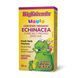 BigFriends Echinacea Alcohol-Free Fresh Herb Tincture for Kids - 50 ml 2023-10-6564 фото 1