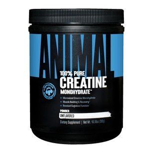 Universal Nutrition Animal Micronized Creatine, 300 грамм CN14100 фото