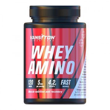 Vansiton Whey Amino, 120 таблеток CN10403 фото
