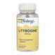 L-Tyrosine 500mg - 100 vcaps 2023-10-6756 фото 1